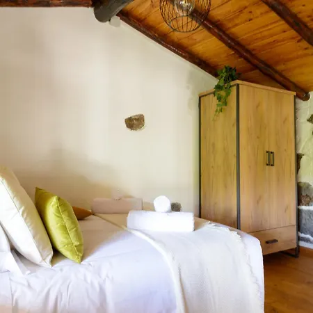 Quinta Entre Palmeras ホテル